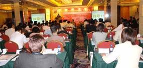 2006年首届“百网商联”高级峰会